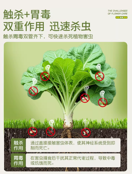 8e0a31a5-ab09-40a2-aea6-30c6f6c08110.png