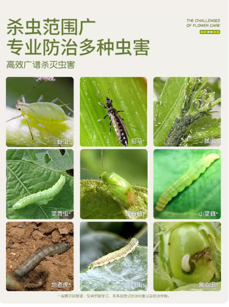 bae0a73d-cab9-4f3a-a682-c5f3f41204dc.png