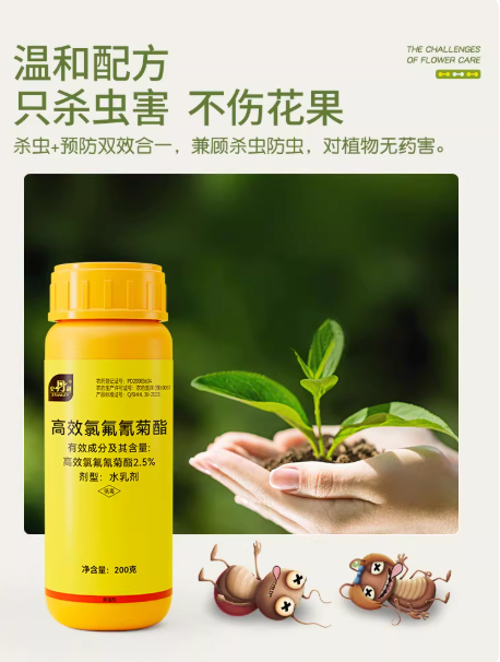c945f942-5f2f-4878-8ca6-858b76e674d8.png
