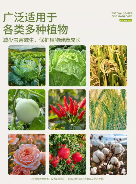 8305cf48-d13f-4398-878b-f4d8dcad15d0.png