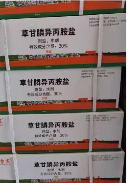 6ac9565e-7f51-4368-9106-73cb6e826d37.png