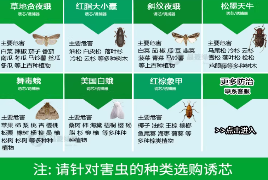 011747cb-314e-48ed-9ec4-728a7b42bb56.png