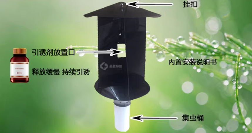 75d923c4-065e-40ca-9048-ddc3cda1d28d.png