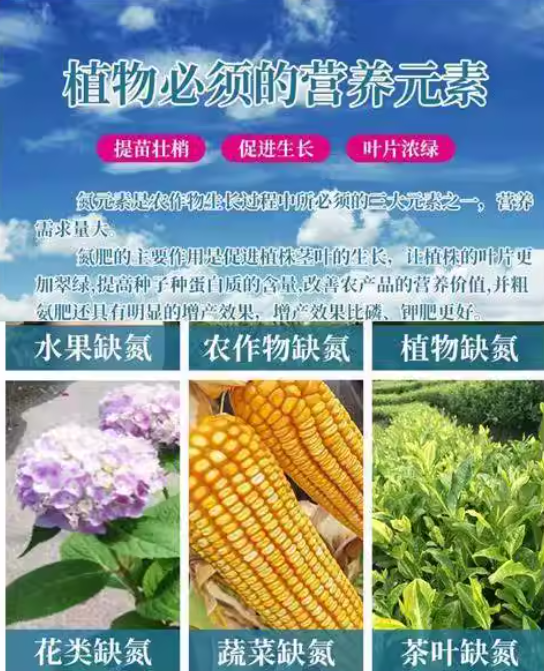 液体水溶氮肥替代尿素玉米小麦水稻大豆提苗壮苗增产快速补氮高氮