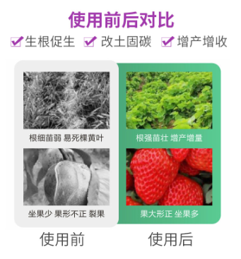 60831542-d1a2-4e9e-88ed-8f99746c3d54.png