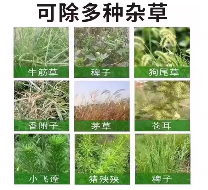04611901-fa8e-4994-94f4-3248acae2c8d.png