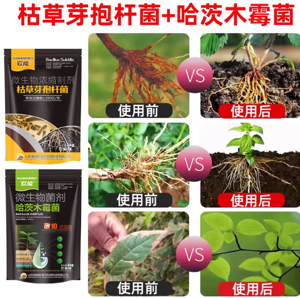 b55971bb-3c9d-4a02-885e-8fb0871519ce.png