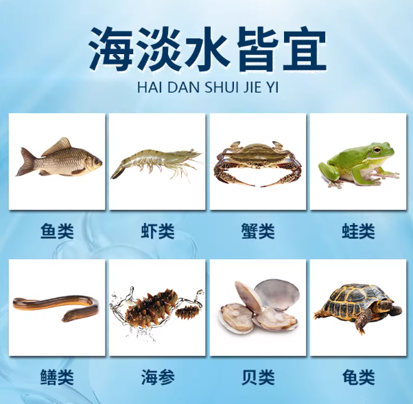a656ee51-74c2-4bd7-a4bb-6f97b41e63bc.png