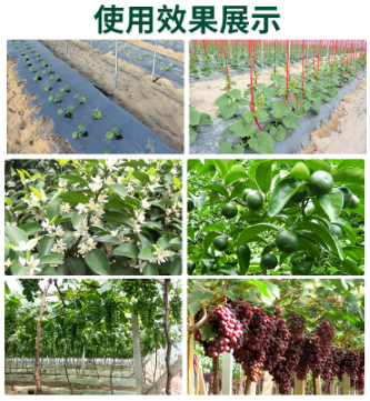 8a216960-2df2-47ed-86cf-51284363e242.png