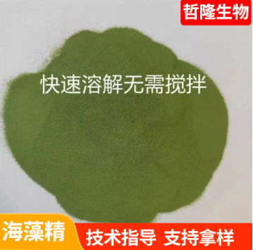 34814aeb-5ba4-4abc-819a-78eaa2692235.png