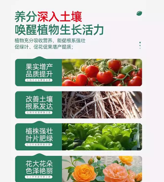 3d921a5a-642d-4739-a75f-2d6a23896745.png