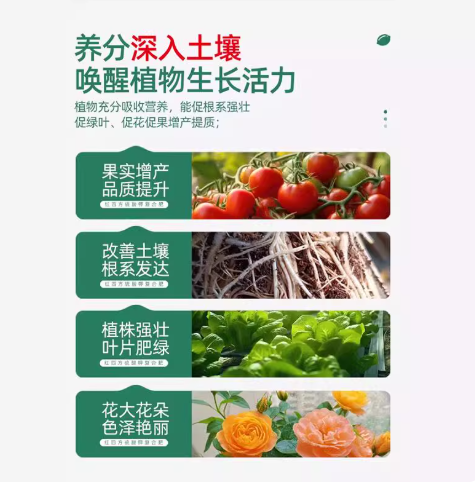 9748ac09-4eb6-49f6-ad8e-b23e52218d06.png