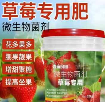 莓苗专用肥料养根生根水溶肥壮苗剂有机肥复合肥平衡肥膨果靓果