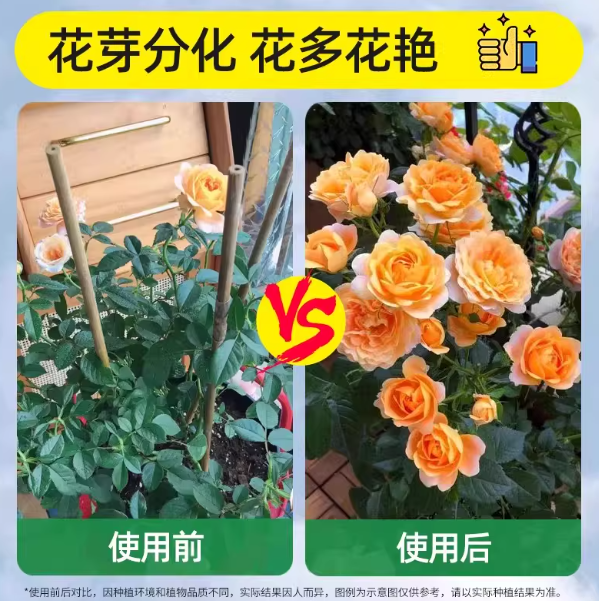 3a88e190-b895-401a-8fc5-f6959c3e4da2.png