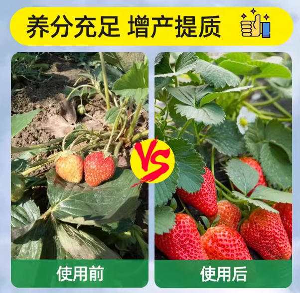 c0e08b79-a418-42eb-9c0b-43a81b8c6765.png