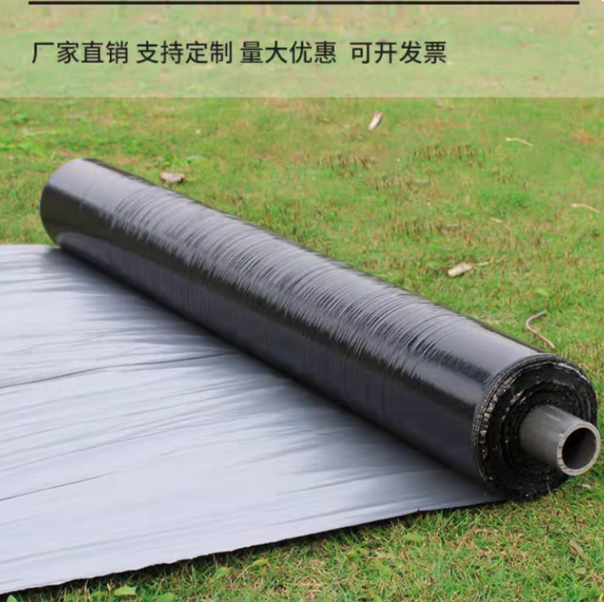 62c11760-c304-47bd-af53-13a412095435.png