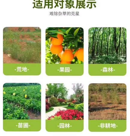 d81822e0-7187-4b2a-b014-1c171d813d48.png