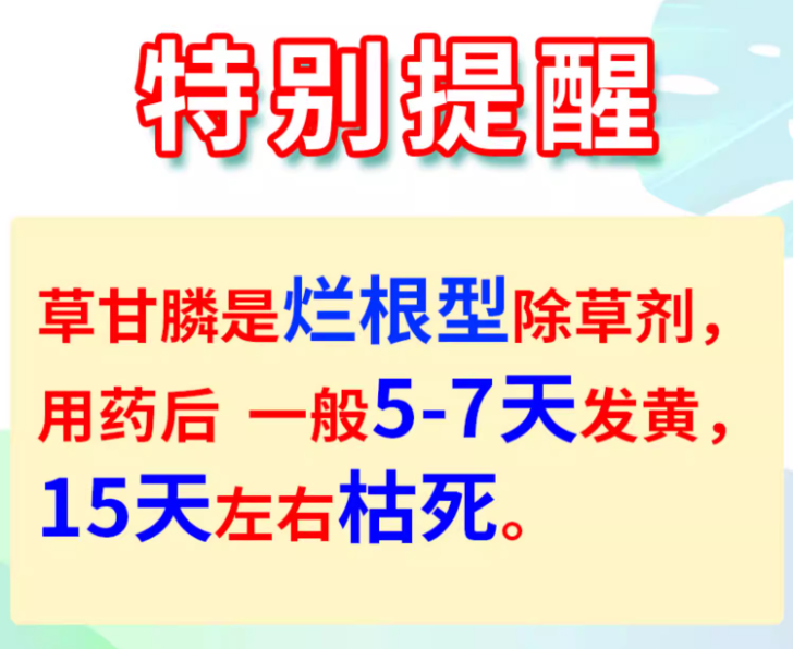 0325a2e9-bc68-41b3-8f37-e1c5d5eaa615.png
