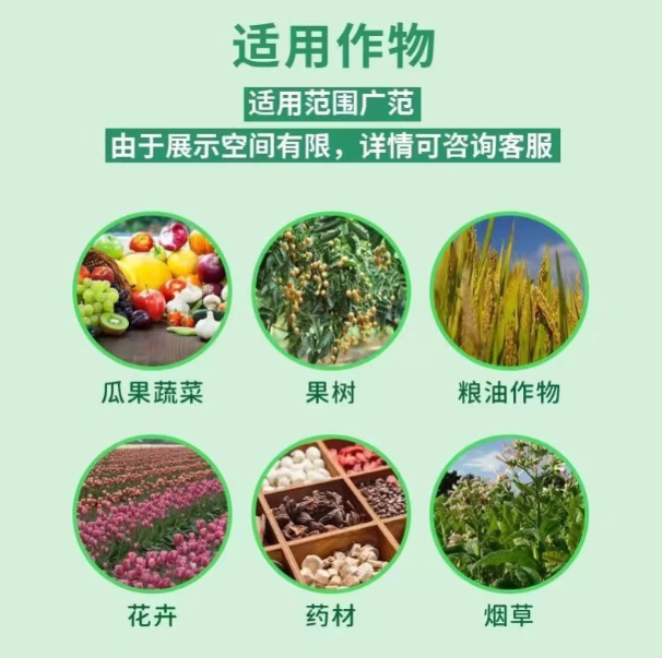 51cb89e1-26f1-4e22-a7da-238ee073afdf.png