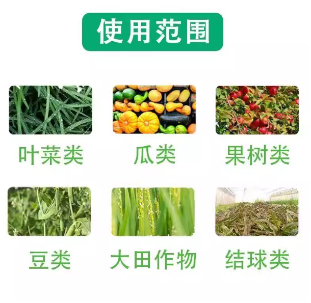 c048c865-8c4b-4ace-bd64-ecdbad56851b.png