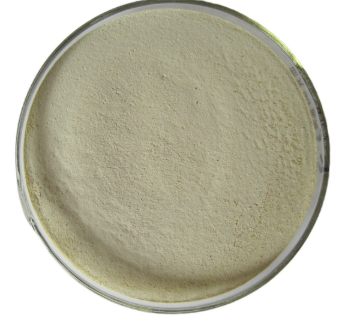 f08bac4b-2971-4e9d-88d0-9690341e1ada.png