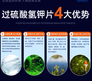 ac69cfc1-dd34-41c8-b922-672e1fd2a58e.png
