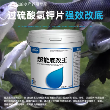 1aa68b5a-cf29-403b-ba83-d00b99a699b4.png