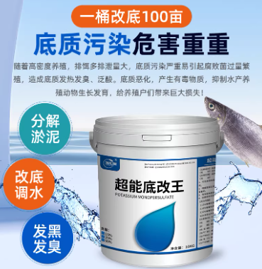 8e4e3906-c680-4967-bb6d-9e63e6babed5.png