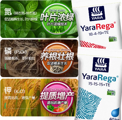 24506031-9de1-4f17-9d3e-9c86e4cec731.png
