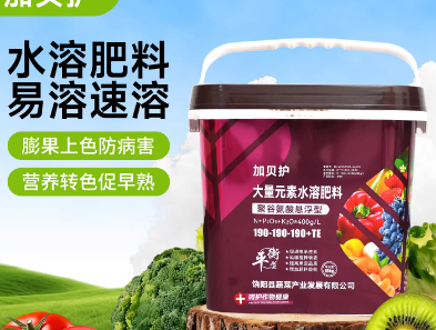 2c607606-dcb5-414e-9b29-9c5a52894fab.png