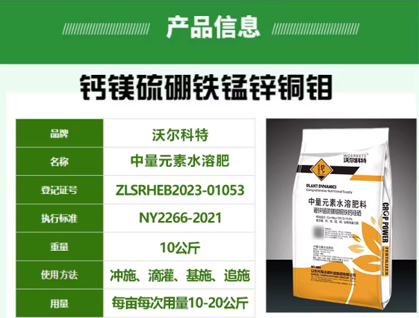 b9fc6ae0-2b3c-493f-aa01-a47386ff5126.png