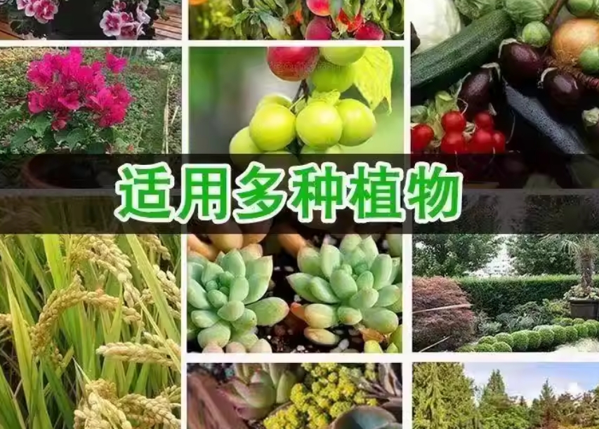 7e4fb840-27ab-418b-aac5-ed24b0f4e1f4.jpeg