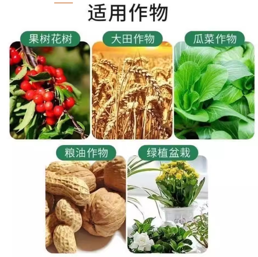 d88accc9-86db-4e3d-999b-8aa530e560dc.jpeg