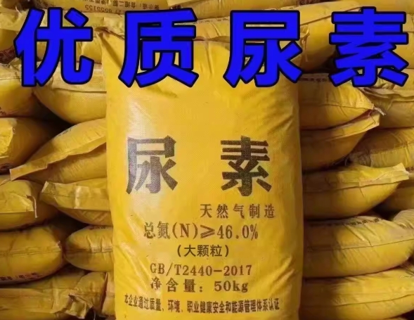 62b36868-6740-4f9b-9a9f-0db99770a39d.jpeg