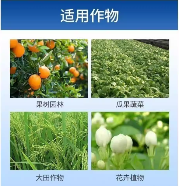 671ad347-83b3-467d-992d-74009e4d901e.png