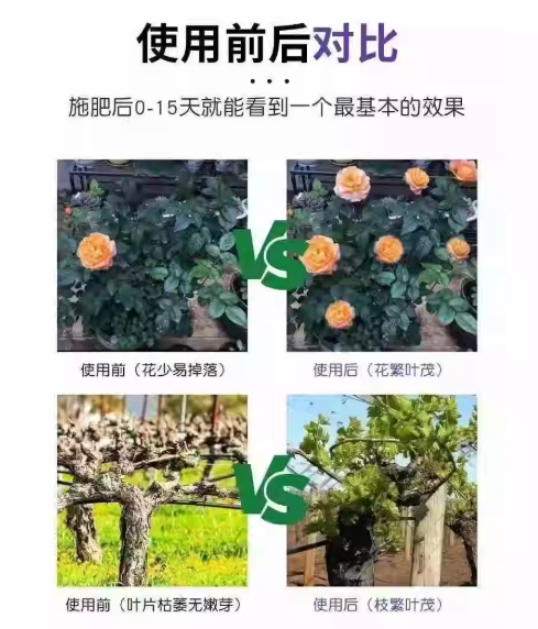 18dab11f-315c-4a74-9389-874049f0b151.png