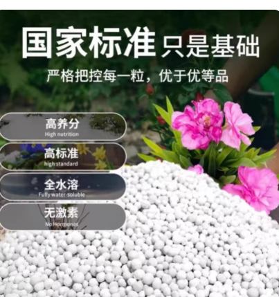 eef84b07-0a80-4a0d-83dc-aa518257ef5e.png