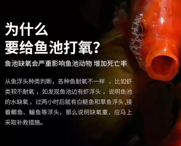 3f35aae6-51c7-4e61-9b63-815819493c81.png