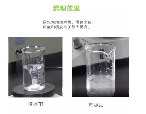4861d8fa-b1bf-45a6-ae52-347922b18e11.png