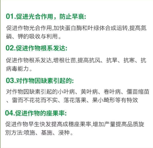513c2a00-579a-4b54-a98e-1cd93ee31270.png