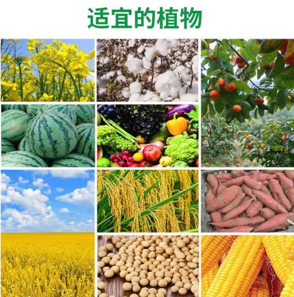 35342bae-a01b-4f1a-b0b9-e2d27e7735c3.png