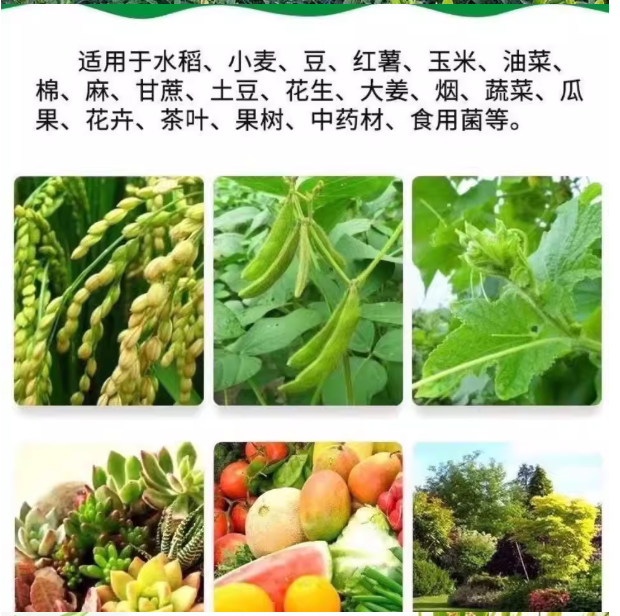 c6e153b6-58c0-4036-9bb7-93b8831efc5b.png
