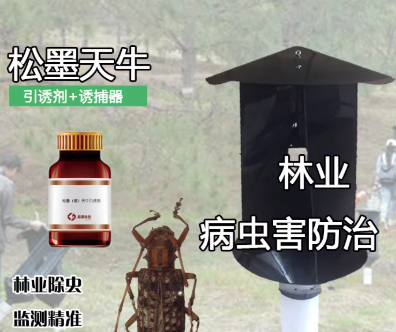 1f47c160-6118-45f8-aad6-8234fb1cffa5.png