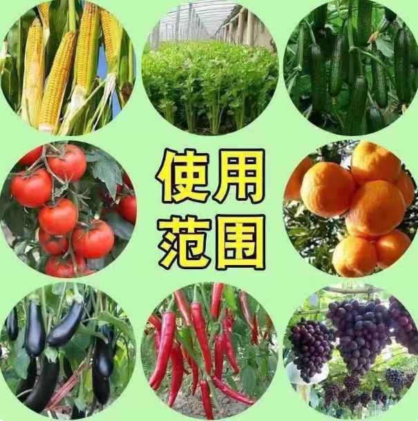 e8a506e8-5535-40f1-ab31-898bccc56921.png