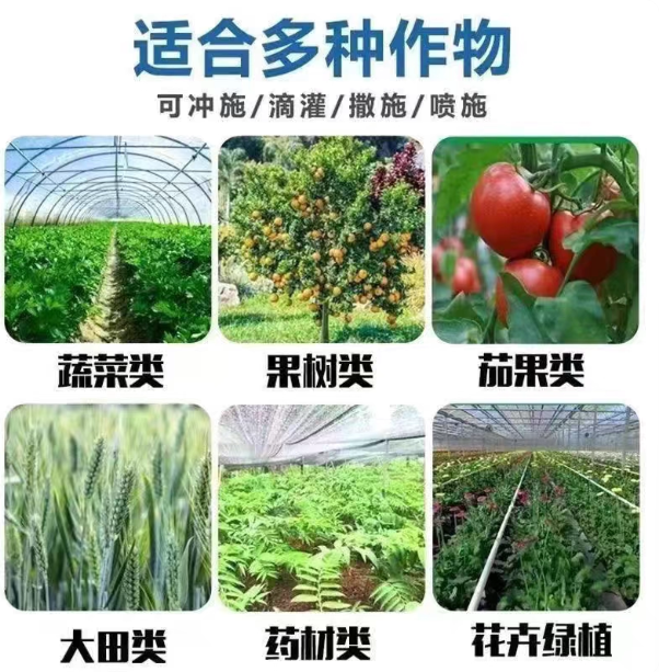 36a54f79-d313-4c43-af8e-6da42477d6a8.png