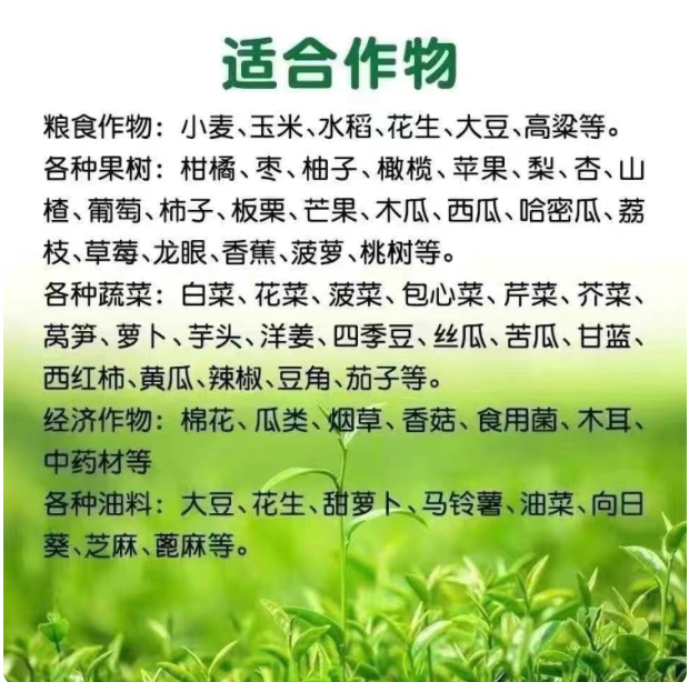 bcddd32b-9fec-42d1-a6a8-3e3bd357cbdb.png