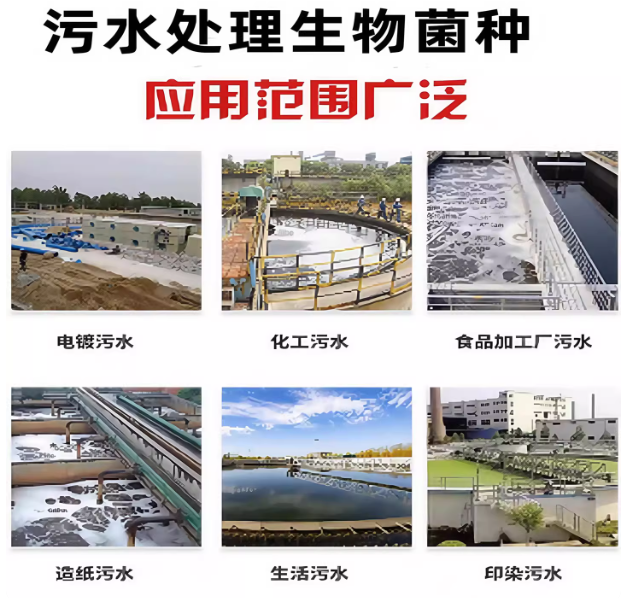 79beb946-ef55-4845-a728-691d1a736ce3.png