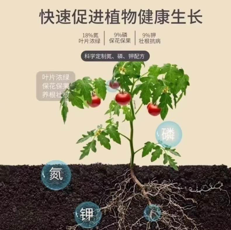1e3b990a-c489-4f69-a99e-e6cf84ca765f.png
