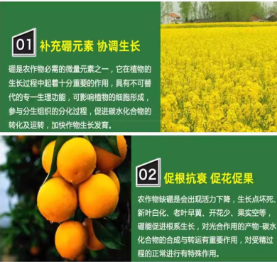 b13657a6-989c-48b9-84be-bccb0305faf2.png