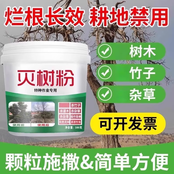 c1a3155a-edc8-4199-ba5d-729808b671f7.png